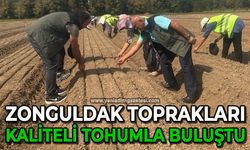 Zonguldak toprakları kaliteli tohumla buluştu
