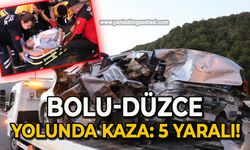 Bolu-Düzce yolunda kaza: 5 yaralı!