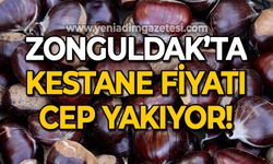 Zonguldak'ta kestane fiyatı cep yakıyor