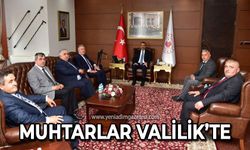 Muhtarlar Zonguldak Valisi Osman Hacıbektaşoğlu'nu ziyaret etti