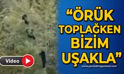 "Örük toplarken bizim uşakla"