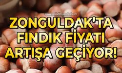 Zonguldak'ta fındık fiyatı artışa geçiyor!
