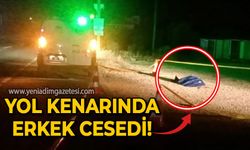 Yol kenarında erkek cesedi bulundu!