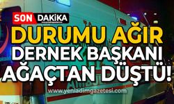 Dernek Başkanı ağaçtan düştü: Durumu ağır!