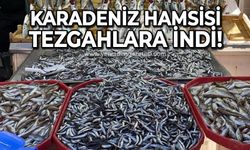 Karadeniz hamsisi tezgahlara indi