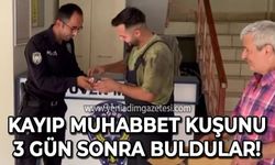 Kayıp muhabbet kuşunu 3 gün sonra buldular