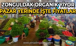 Zonguldak'ta vatandaşlar organik ürün tercih ediyor: İşte sebze ve meyve fiyatları