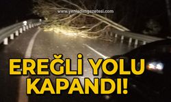 Zonguldak yolunda fırtına etkili oldu: Ağaçlar yolu kapattı!