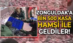 Zonguldak'a bin 500 kasa hamsi ile geldiler!