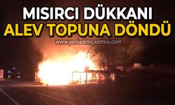Mısırcı dükkanı alev topuna döndü!