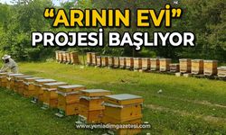 "Arının Evi" projesi başlıyor