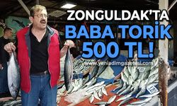 Zonguldak'ta Baba Torik 500 TL: Güncel balık fiyatları