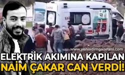 Kozalak ağacına çıktı elektrik akımına kapıldı: Naim Çakar can verdi!