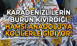 Karadenizlilerin burun kıvırdığı hamsi Anadolu'ya kolilerle gidiyor