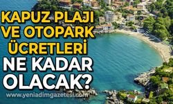 2024 yılında Kapuz Plajı ve otopark ücretleri ne kadar olacak?