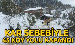 45 köyün ulaşımı kar sebebiyle kapandı