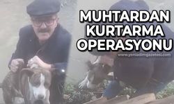 Muhtardan kurtarma operasyonu!