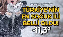 Türkiye'nin en soğuk ili belli oldu: Eksi 11,3 derece!