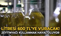 Zeytinyağı kullanmak artık hayal görünüyor: Litresi 600 TL olacak!