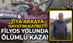 Filyos yolunda feci kaza: Ziya Akkaya hayatını kaybetti!