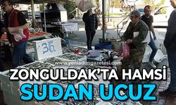 Zonguldak'ta hamsi bollaştı: Su fiyatından daha ucuza satılıyor!