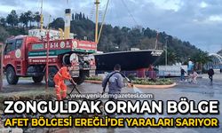 Zonguldak Orman Bölge afet bölgesi Ereğli'de yaraları sarıyor