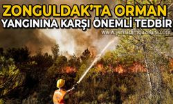Zonguldak'ta orman yangınlarına karşı önemli proje: Çalışmalar başladı