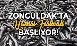 Zonguldak'ta Hamsi Festivali başlıyor