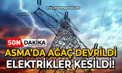Asma’da ağaç devrildi: Elektrikler kesildi!