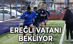 Ereğli Vatanı bekliyor