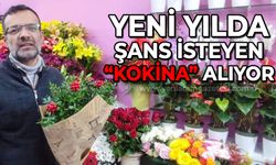 Yeni yılda şans isteyen "kokina" alıyor