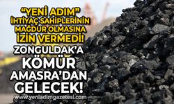 Yeni Adım ihtiyaç sahiplerinin mağdur olmasına izin vermedi: Zonguldak'a kömür Amasra'dan gelecek!