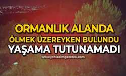 Ormanlık alanda bulunmuştu: Hayata tutunamadı...