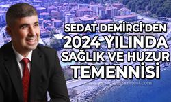 Sedat Demirci'den yeni yıl kutlama mesajı