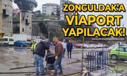 Zonguldak'a Viaport yapılacak