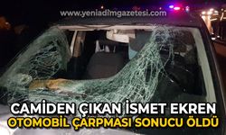 Camiden çıkan İsmet Ekren otomobil çarpması sonucu öldü