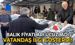 Balık fiyatları ucuzladı: Vatandaş ilgi gösterdi