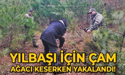 Yılbaşı için çam ağacı keserken yakalandı!