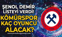 Şenol Demir listeyi verdi: Zonguldak Kömürspor kaç oyuncu alacak?