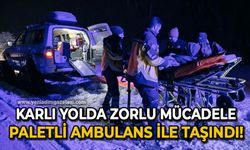 Karlı yolda zorlu mücadele: Paletli ambulans ile taşındı!