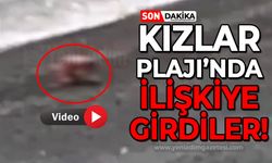 Zonguldak Kızlar Plajı'nda cinsel ilişkiye girdiler: İşte o anlar!
