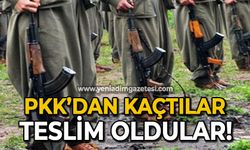 PKK'dan kaçan 2 terörist Türkiye Cumhuriyeti'ne teslim oldu!