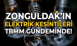 Zonguldak'ın elektrik kesintileri TBMM gündeminde!