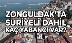 Zonguldak'ta kaç yabancı var?