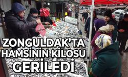 Zonguldak'ta hamsinin kilosu geriledi: İşte güncel fiyatı
