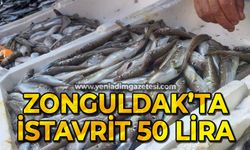 Zonguldak'ta istavrit 50 liradan alıcı buldu