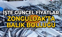 Zonguldak'ta balık bolluğu: İşte güncel fiyatlar