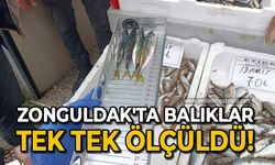 Zonguldak'ta balıklar tek tek ölçüldü!