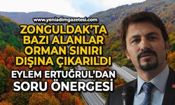 Eylem Ertuğrul'dan soru önergesi: Zonguldak'ta bazı alanlar orman sınırı dışına çıkarıldı