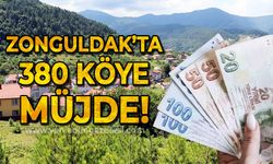 Zonguldak'ta 380 köye müjde: Fiyatlar aynı kalacak